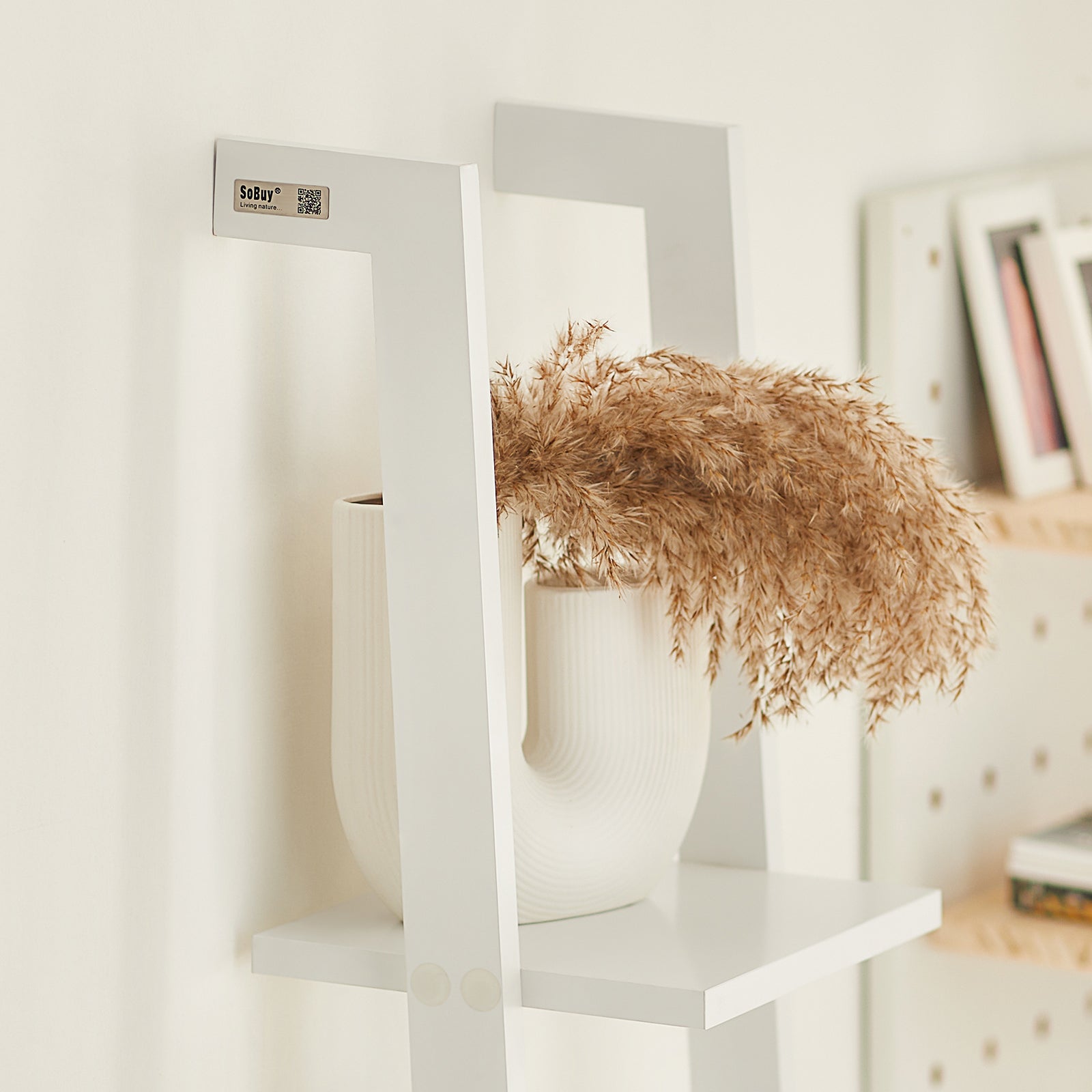 SoBuy Modern 4 Tiers Display Storage Wood Wall Shelf, FRG15-W