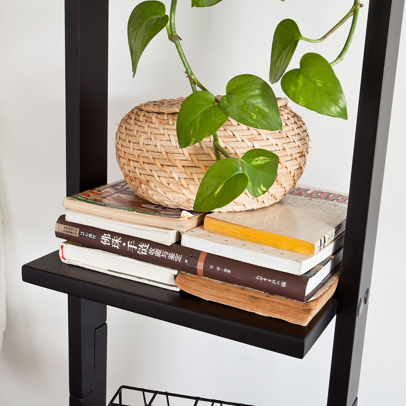 SoBuy Modern 4 Tiers Display Storage Wood Wall Shelf, FRG15-SCH