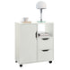 Sobuy Home Office File Cabinet Printer Stand Storage Cabinet On Wheels FBT105-W