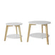 SoBuy Set of 2 Side Tables Coffee Tables Nesting Tables, FBT75-W