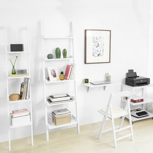 Bookcases & Ladder Shelf